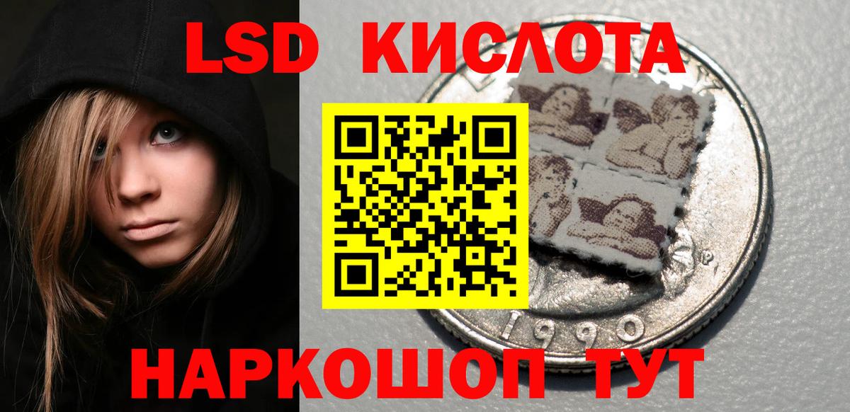 Галлюциногенные грибы Россия