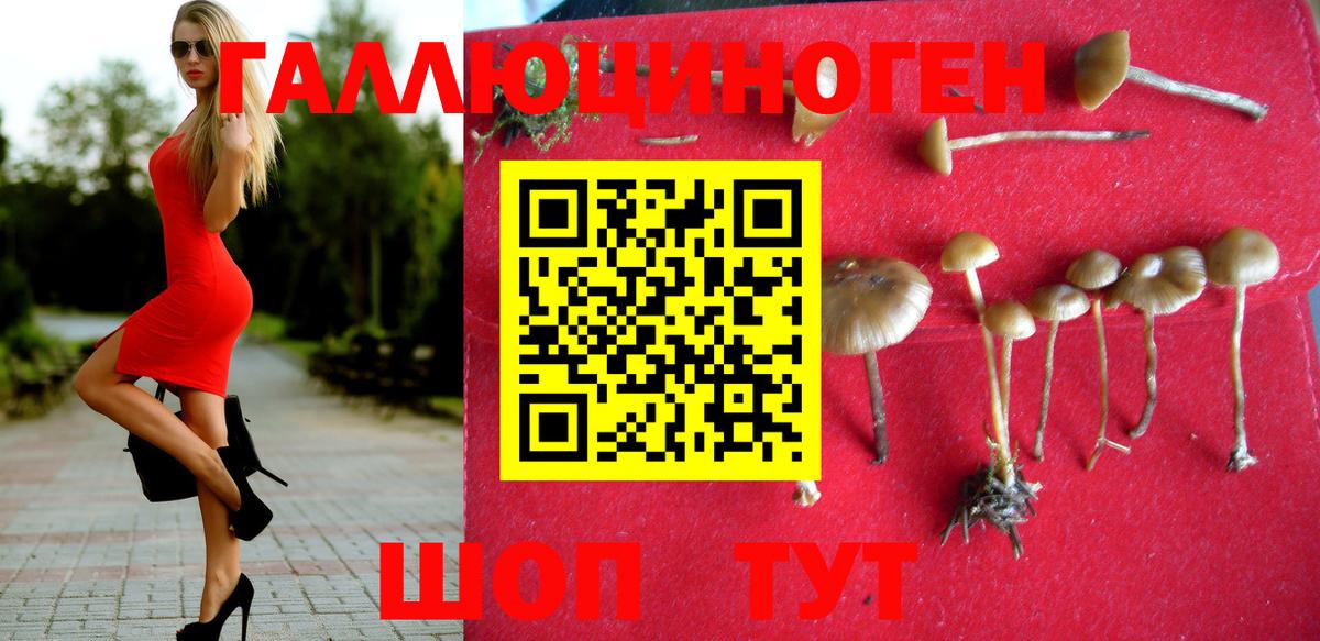 Псилоцибиновые грибы Psilocybe  Вход с VPN  Россия  Псилоцибиновые грибы мухоморы 